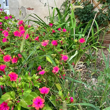 Domaine De La Bordasse Villa