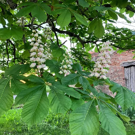 Domaine De La Bordasse *