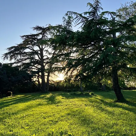 Domaine De La Bordasse * Villematier