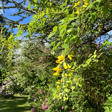 Domaine De La Bordasse Villa Villematier