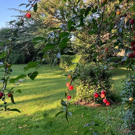 Domaine De La Bordasse Villa Villematier