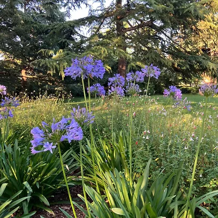 Domaine De La Bordasse Villa