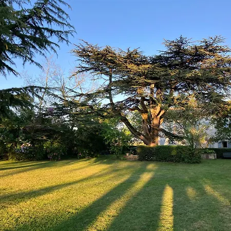 Βίλα Domaine De La Bordasse Villematier