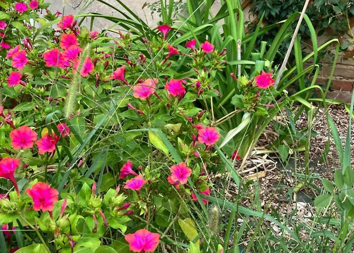 Domaine De La Bordasse Βίλα