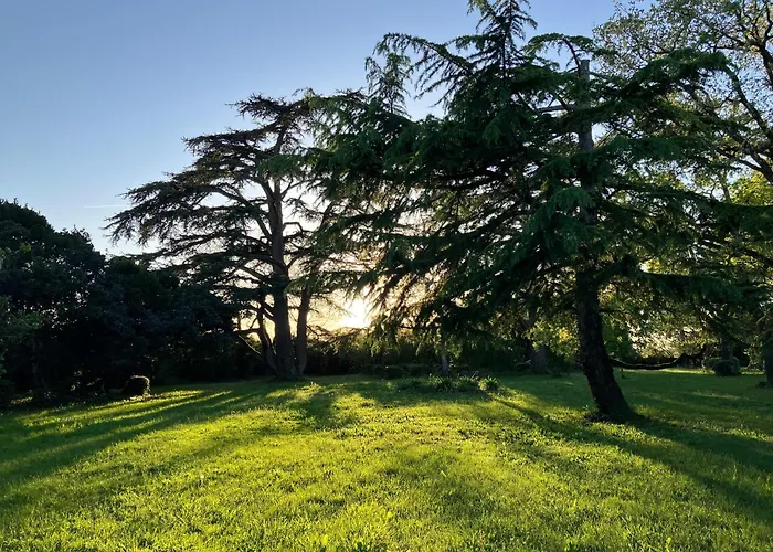Domaine De La Bordasse * Villematier