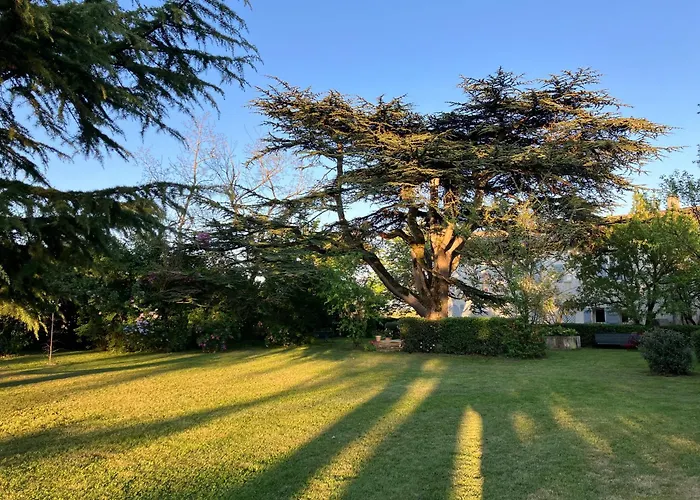 Βίλα Domaine De La Bordasse Villematier