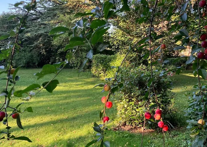 Domaine De La Bordasse Βίλα Villematier