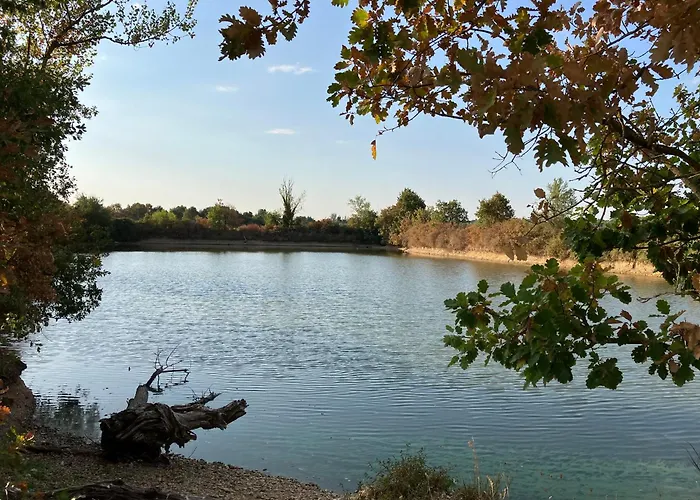 Domaine De La Bordasse Βίλα Villematier