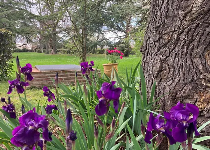 Domaine De La Bordasse Βίλα *