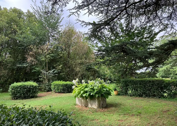 Domaine De La Bordasse *