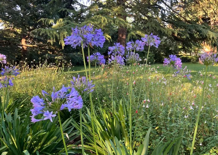 Domaine De La Bordasse Βίλα